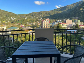 Gonio N301A Beachfront Mountain view apartment